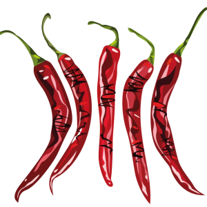 Chili pepper PNG