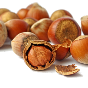 hazelnut PNG