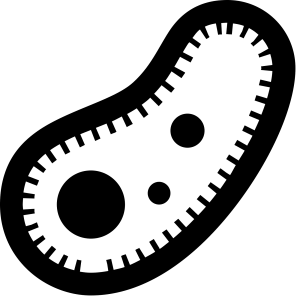 Bacteria PNG