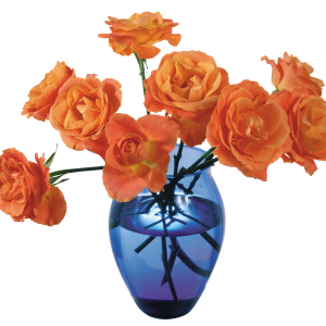 Vase PNG