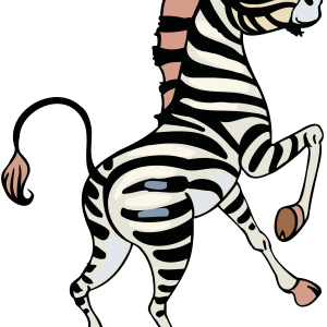 Zebra PNG image