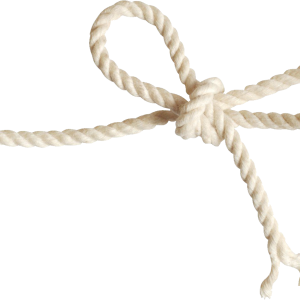 rope PNG