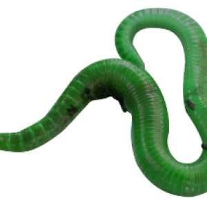 earthworm worm PNG