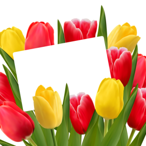 8 March PNG