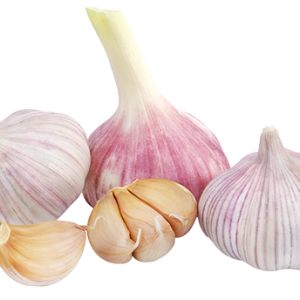 Garlic PNG