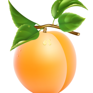 Apricot wih green leaves PNG