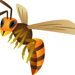 Wasp PNG