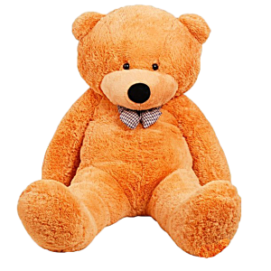 Teddy bear PNG