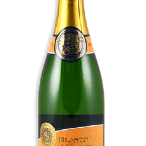 Champagne PNG
