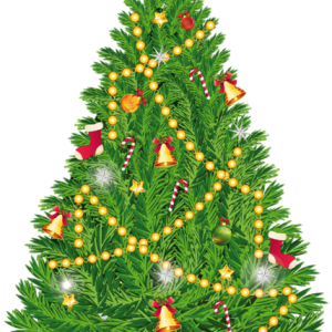 Christmas tree PNG
