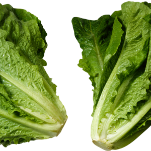 Green salad PNG image