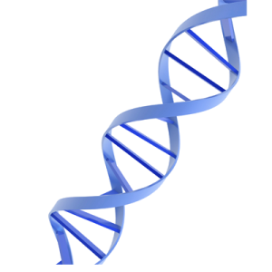 DNA PNG