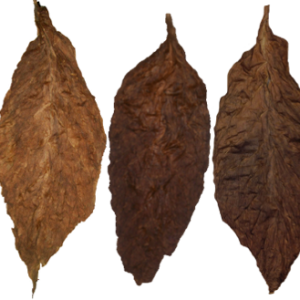Tobacco PNG