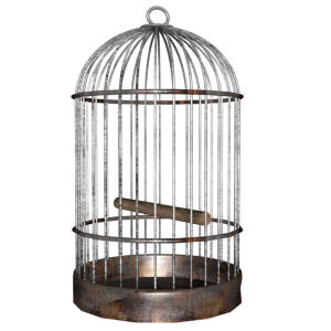 Cage bird PNG