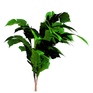 Jungle PNG
