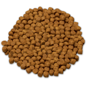 Dog food PNG