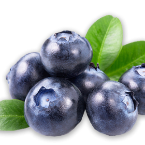 Blueberries PNG