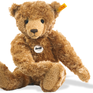 Teddy bear PNG