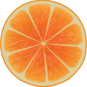 cutted orange PNG