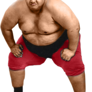 Sumo PNG