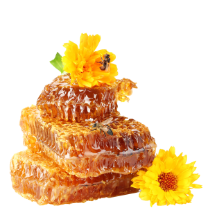 Honey PNG