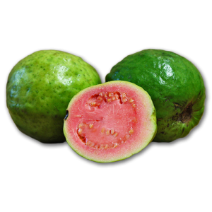 Guava PNG