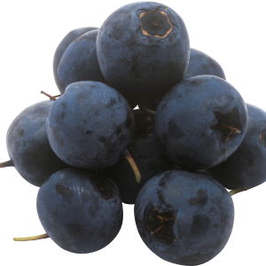 Blueberries PNG