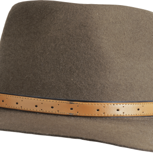 Hat PNG image