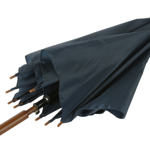 Umbrella PNG