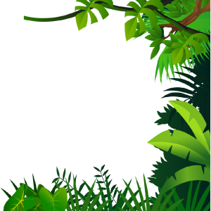 Jungle PNG