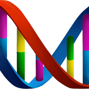 DNA PNG
