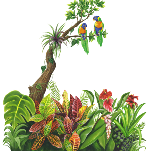 Jungle PNG