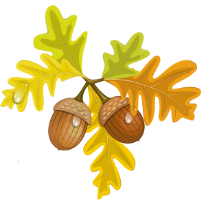 Acorn PNG image