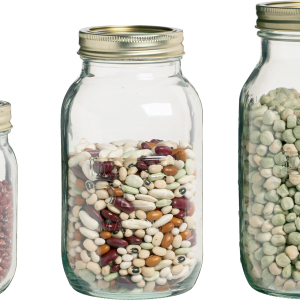 Kidney beans PNG