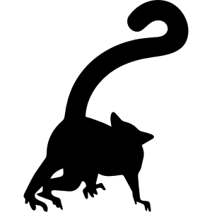 Lemur PNG