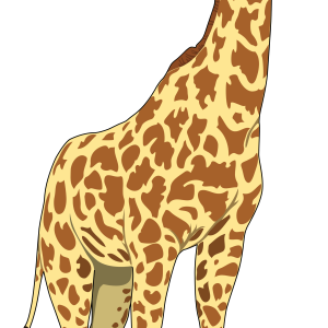 Giraffe PNG