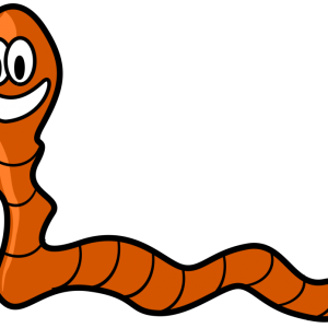 earthworm worm PNG