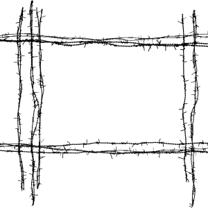 Barbed wire PNG