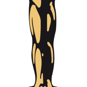 Academy Awards PNG, the Oscars PNG