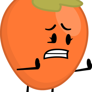 Persimmon PNG