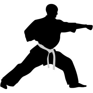 Karate PNG