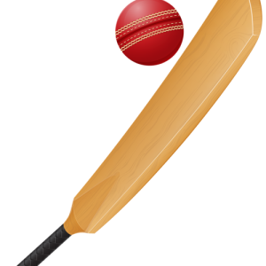 Cricket PNG