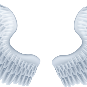 Wings PNG