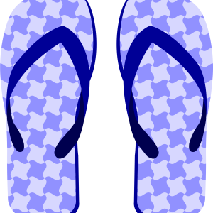 Flip-flops PNG