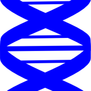 DNA PNG