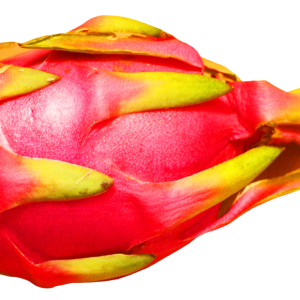 pitaya PNG