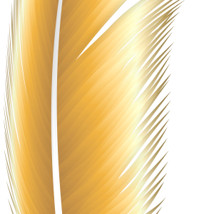 Feather PNG