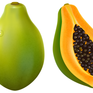 Papaya PNG