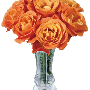 Vase PNG