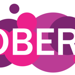 Wildberries logo PNG